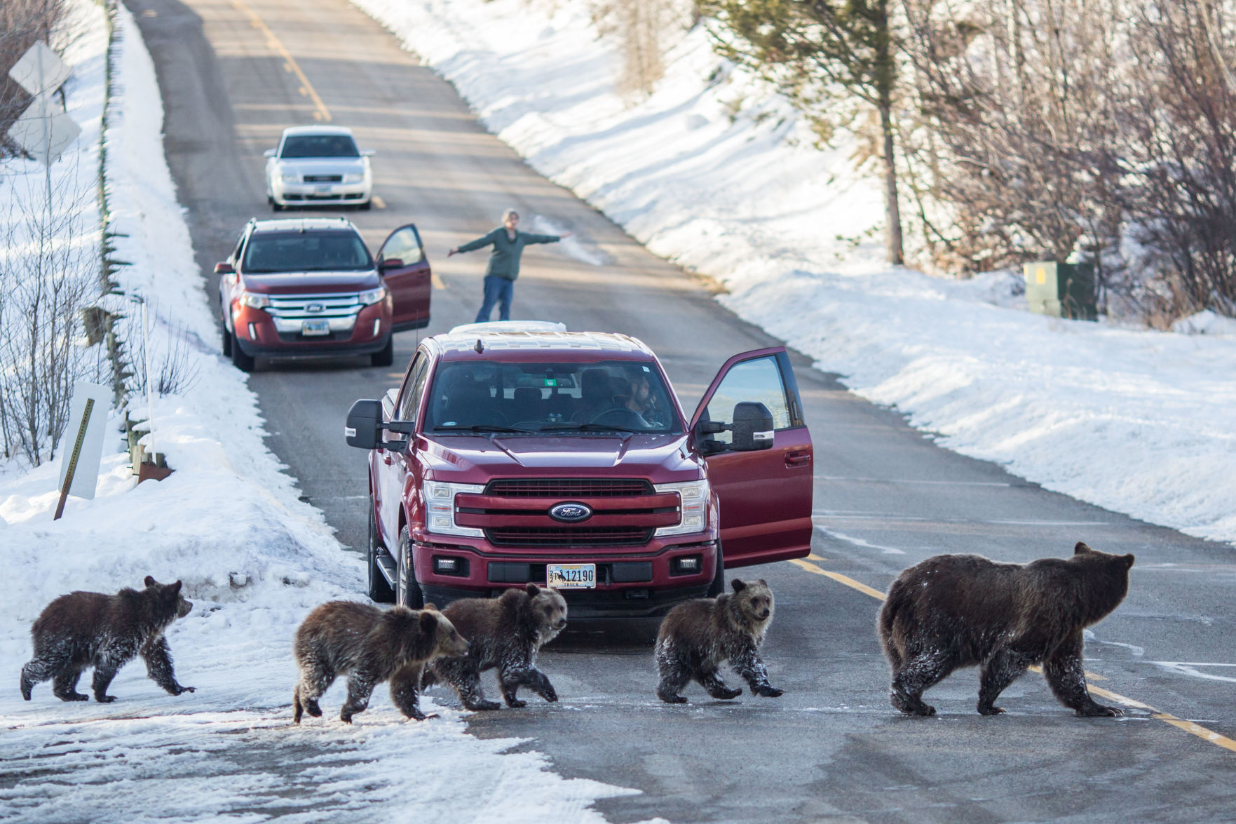 Top 10: Grizzly 399